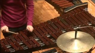 PERCUSSION 101: Xylophone