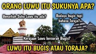 LUWU ITU SUKU APA?