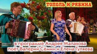 ХИТ "Тополь и рябина" в программе "Привет, Андрей!" поют Валерий Сёмин и Елена Гуляева. ОГОНЬ!!!"️