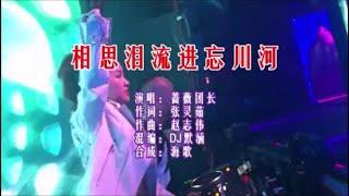 蔷薇团长 《相思泪流进忘川河 （DJ默涵版）》 KTV 导唱字幕 （备有伴奏视频）