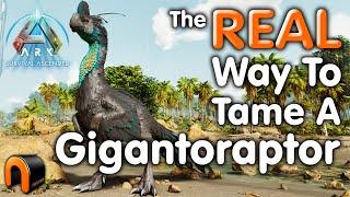 Ark Gigantoraptor Taming REAL That WORKS! #ArkSurvivalAscended