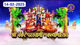 Srivari Kalyanostavam || Tirumala || 14-02-2025 || SVBC4 Hindi Channel || SVBC TTD