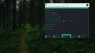 How to create xampp launcher manjaro linux