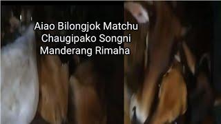 Aiao Bilongjok Matchu Chaugipako Songni Manderang Rimaha