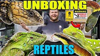 UNBOXING THE RAREST PET GECKO IN THE WORLD! EPIC REPTILE IMPORT UNBOXING!