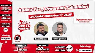 15 Aralık 2024 // Adana At Yarışı Tahminleri // Serdal Akkuş - Hakan Çakmak