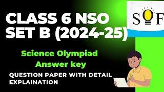 Crack NSO 2024-25:"NSO Class 6 Set B 2024-25: Complete Solutions and Answers Explained! part 1