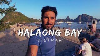 Immersive Travel Experience: Halong Bay, Vietnam | Vlog Documentary