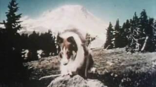Lassie - 60er Jahre Reale Welt