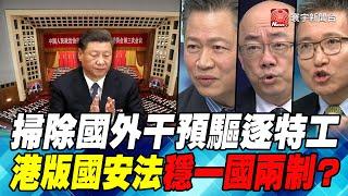 P1掃除國外干預驅逐特工  港版國安法穩一國兩制？｜寰宇全視界20200523