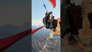 Wow!! When a beloved dog becomes a paragliding partner#shorts #life #moments #paragliding #dog