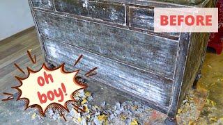 EXTREME Furniture Makeover | BEFORE and AFTER Dresser Flip | How to Stop Bleed Thru | Trash Treasure