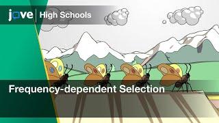 Frequency-dependent Selection | Bio | Video Textbooks - Preview