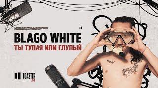 BLAGO WHITE - Ты тупая или глупый | Toaster Live