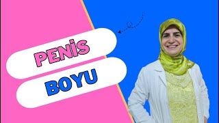 PENİS BOYU