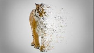 Photoshop DISPERSION TECHNIQUES | IMAGE MANIPULATION Photoshop (GD Alam)