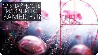 ЧИСЛА ФИБОНАЧЧИ УДИВИТЕЛЬНАЯ ЗАКОНОМЕРНОСТЬ [Число ФИ и Золотое сечение]