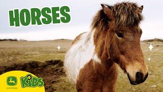 We Love Horses On The Farm!  | John Deere Kids