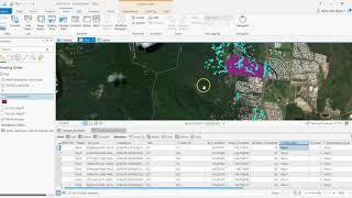 Combining an Attribute Query and Intersect in ArcGIS Pro