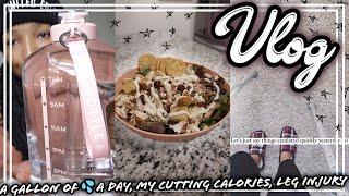 VLOG | HOW I'M DRINKING A GALLON OF WATER A DAY, MY NEW CUTTING CALORIES, I BROKE MY CALVES, KINDA 