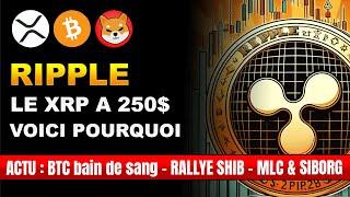  XRP à 250$ en 2025  Shib PUMP IMMINENT - Bitcoin CRASH - Listing $MLC OPPORTUNITÉ ? Siborg Ads