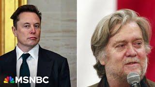 Elon Musk clashing with Steve Bannon, as Musks approval of his role in in government hits new lows