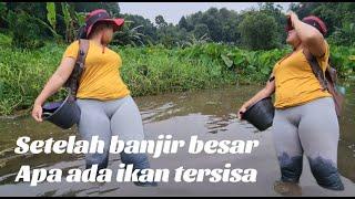 Setelah banjir besar apa masih ada ikan tersisa di sungai ini ?