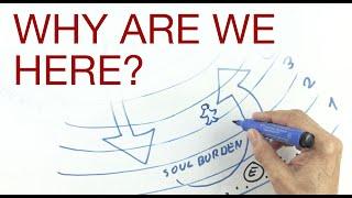 WHY ARE WE HERE?  explained by Hans Wilhelm