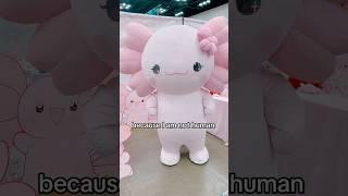 Check out Agi Jagi Shop for cute merch of Agi the axolotl! #axolotl #axolotls #kawaii #animecon