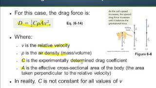 Drag Force and Terminal Speed