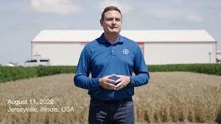 The Next Generation of Advancements in Wheat | Bayer