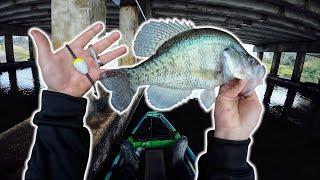 THIS SIMPLE TIP MAKES CRAPPIE BITE EVERY TIME‼️ KAYAK CRAPPIE FISHING 2024‼️