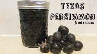 Texas Persimmon (Diospyros texana) - Weird Fruit Explorer Ep 229