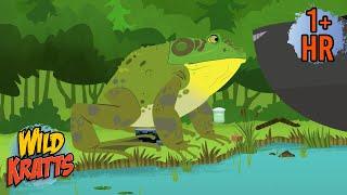 Giant Frog to the Rescue! | New Compilation | Wild Kratts