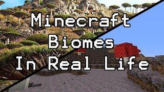 Minecraft Biomes In Real Life!