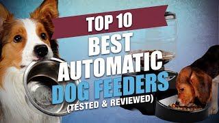 Top 10 Best Automatic Dog Feeders