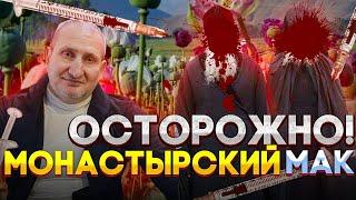 ОСТОРОЖНО ДВА МОНАХА НАРКОМАНА НА СЕЗОНЕ ОПИУМНОГО МАКА ИЛИ ОПЕРАЦИЯ МАК ИВАНОВСКИЙ ЦЕНТРАЛ