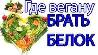 Где брать белок ВЕГАНУ! Все продукты богатые белком в этом видео.