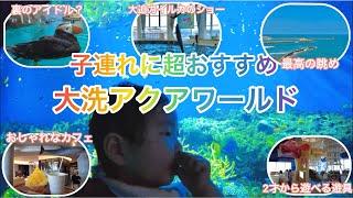 4K 子供連れにおすすめ「アクアワールド茨城県大洗水族館」