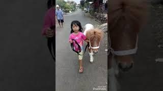 Woody pake menyediakan kuda poni