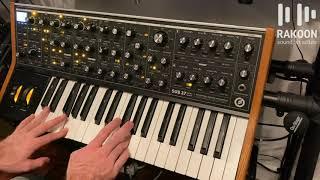 Moog Sub 37 (Rakoon Sound Studios Tips and Tricks)