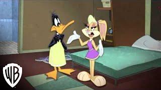 The Looney Tunes Show | Season 1, Volume 3: Crazy Person (Lola Bunny) | Warner Bros. Entertainment