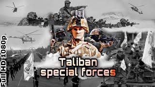 Taliban Mujahedeen Special Forces New Training Video | Full HD | Mushfiq Bin Jamal