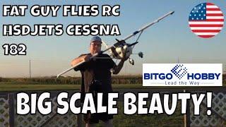 BIG SCALE BEAUTY! HSDJETS CESSNA 182 by Fat Guy Flies RC