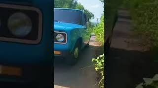 Fiat padmini restored /high torque by shak