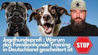 Jagdhundeprofi: Deshalb funktioniert Hundetraining oft nur mangelhaft