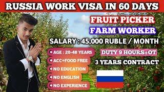 Russia  Fruit Picker Job | Salary 50,000 | Russia Work Permit 2024 | Jobs in Russia For Indians