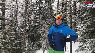 Tipps fürs Treeskiing in Nordamerika