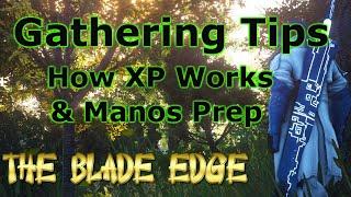 Console Manos Prep, Why Not to Make Good Feed & More - Black Desert Life Skill Guide | XBOX PS4