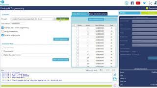 STM32CubeProgrammer Programming project bin file